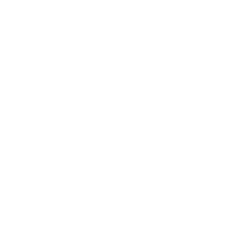 Developer Society