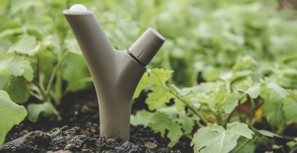 A soil sensor in the the ground