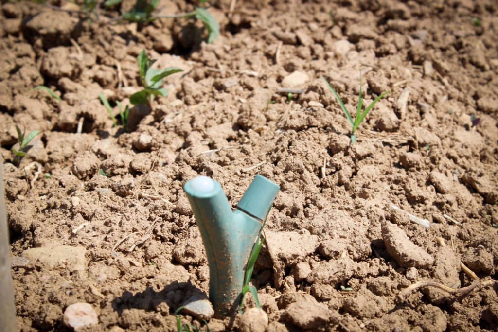 A soil sensor in soil