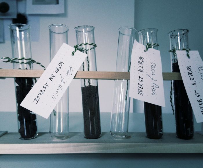 Test tubes containing soil samples