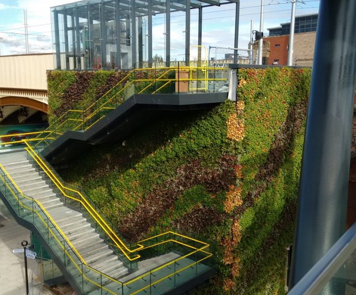 Living wall Deansgate. Image credit : Transport for Greater Manchester